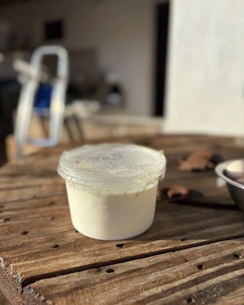 Coalhada caseira fresca da Fazenda Várzea do Feijão, Tauá-CE