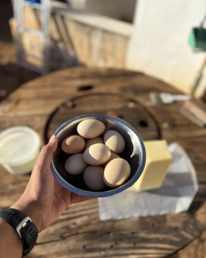 Ovos caipira frescos da Fazenda Várzea do Feijão, Tauá-CE