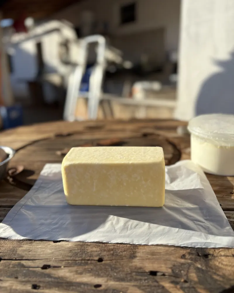 Queijo de coalho artesanal da Fazenda Várzea do Feijão, Tauá-CE
